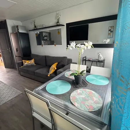 46 Ile Paradise Vue Port Agde